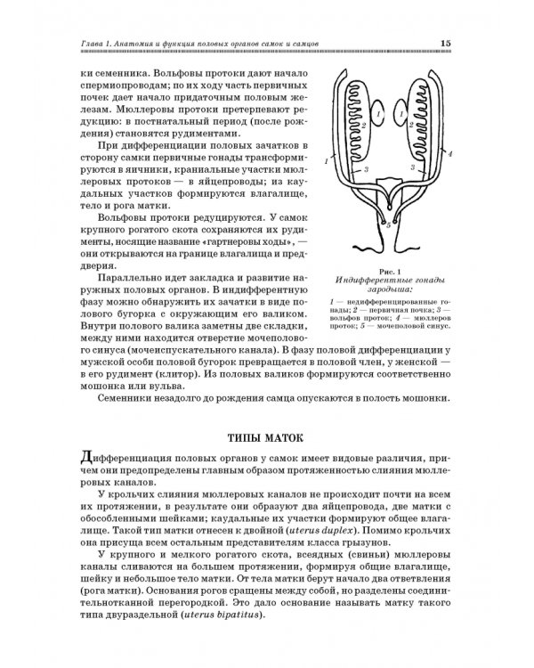 Ветеринарное акушерство, гинекология и биотехнология размножения