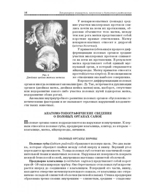 Ветеринарное акушерство, гинекология и биотехнология размножения