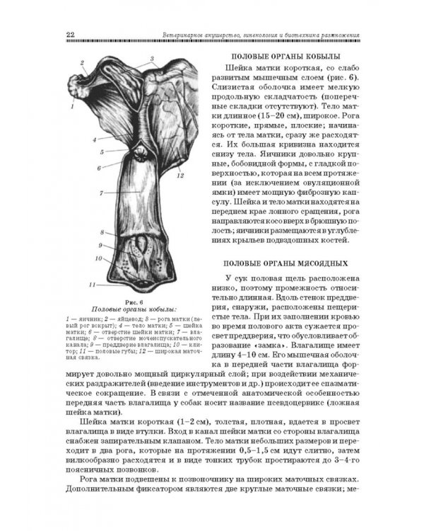 Ветеринарное акушерство, гинекология и биотехнология размножения
