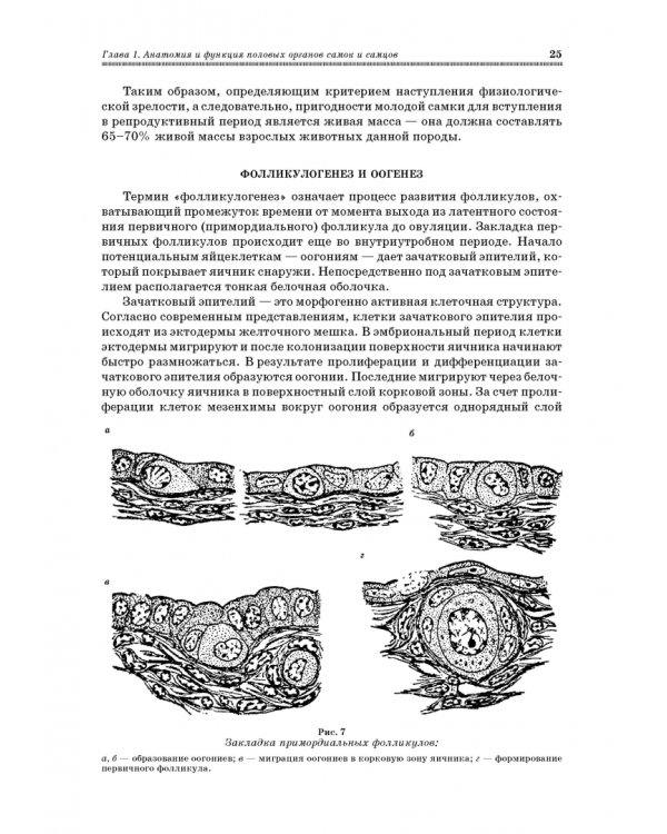 Ветеринарное акушерство, гинекология и биотехнология размножения