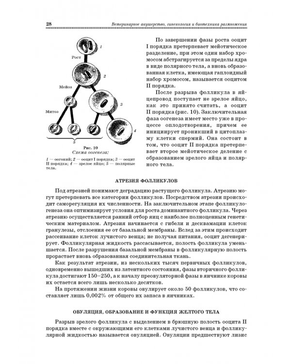 Ветеринарное акушерство, гинекология и биотехнология размножения