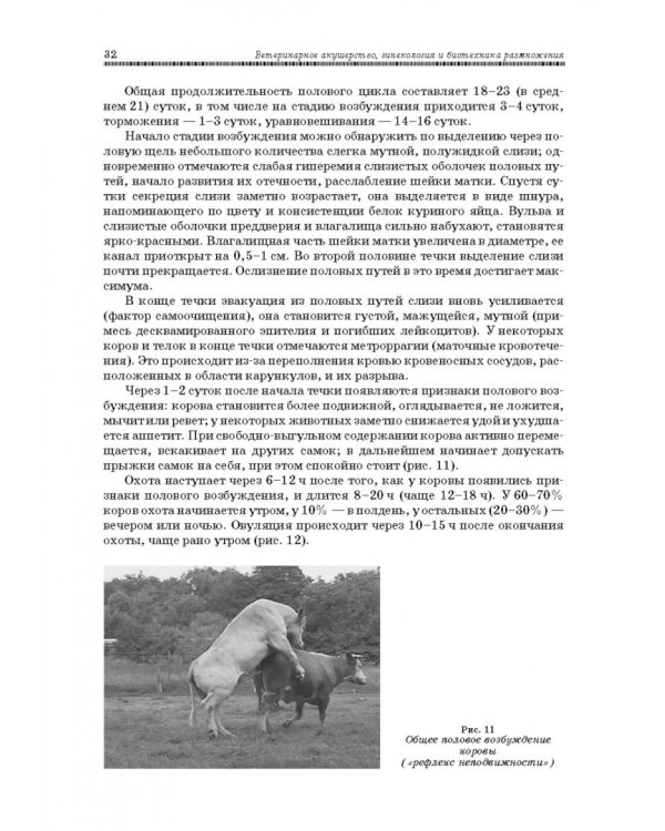 Ветеринарное акушерство, гинекология и биотехнология размножения