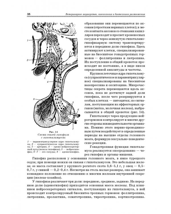 Ветеринарное акушерство, гинекология и биотехнология размножения