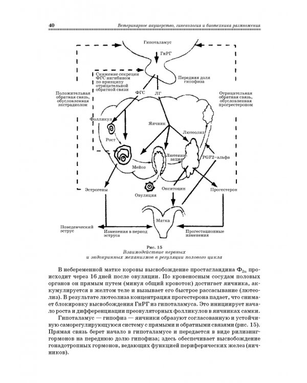 Ветеринарное акушерство, гинекология и биотехнология размножения