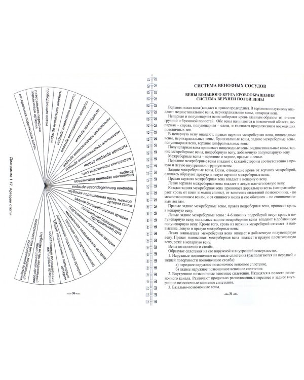 Биолокация. Атлас диаграмм. Методическое пособие для диагностики