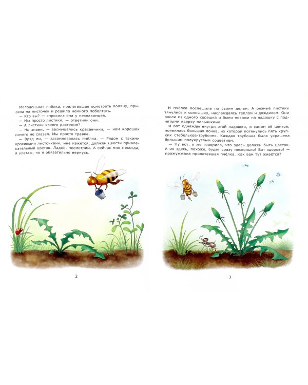 Познавательные сказки. Солнечные цветы