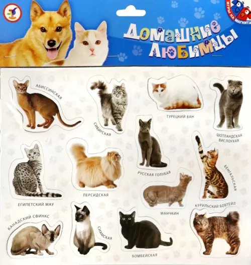 Магнит. Домашние любимцы Магнит. Домашние любимцы