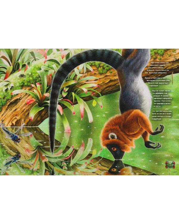 Ида.Взгляд из прошлого