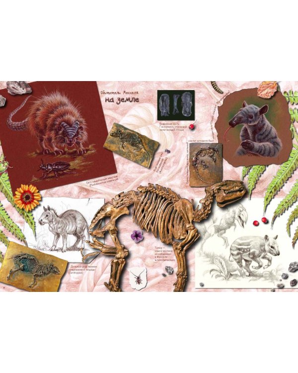 Ида.Взгляд из прошлого