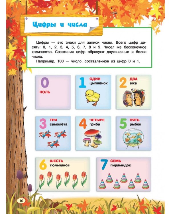 Все правила математики для детей