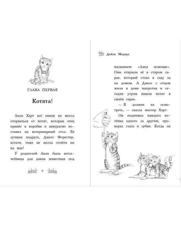 Котёнок Белла, или Любопытный носик