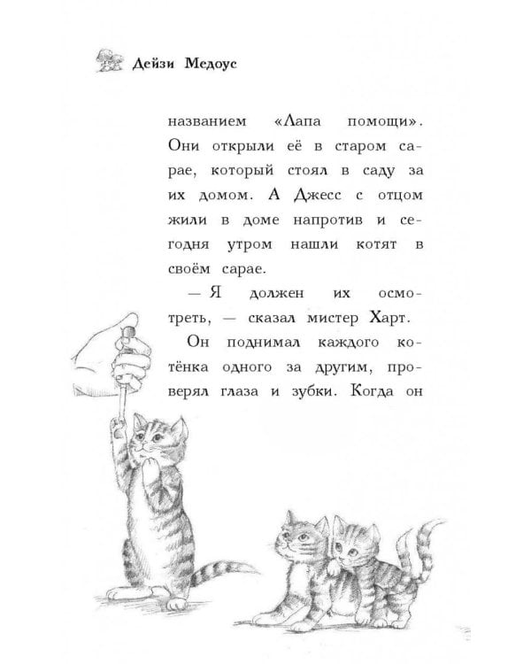 Котёнок Белла, или Любопытный носик