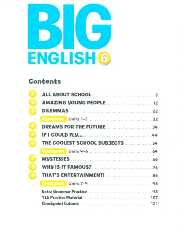 Big English. Level 6. Activity Book