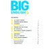 Big English. Level 6. Activity Book