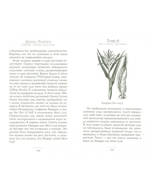 Тайные знания растений. Что видят, слышат и помнят цветы и деревья