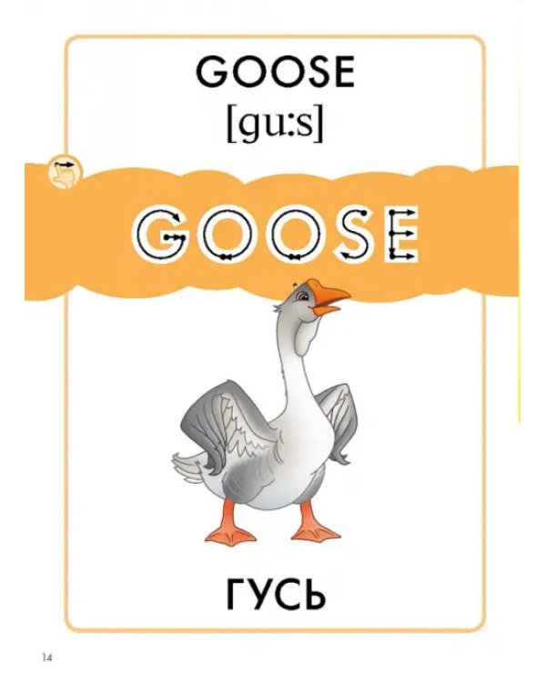 Птицы. Пособие для детей 3-6 лет