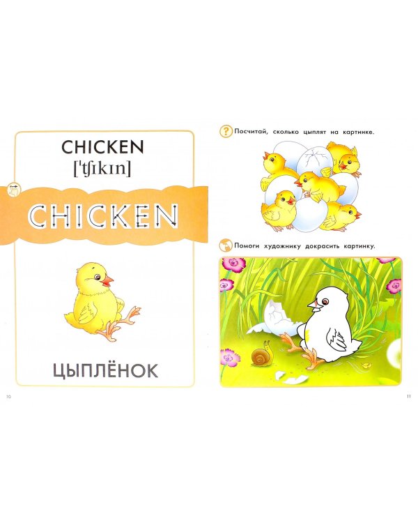 Птицы. Пособие для детей 3-6 лет