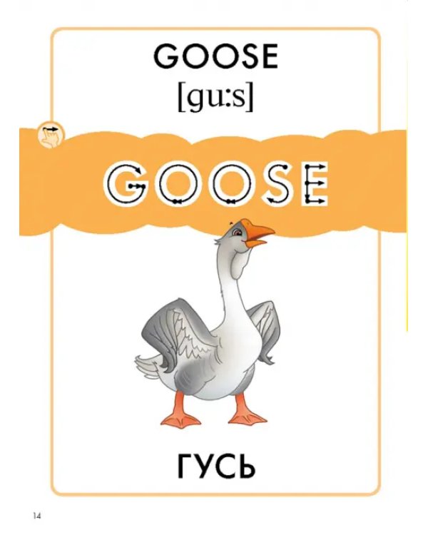 Птицы. Пособие для детей 3-6 лет