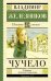 Обложка книги «Чучело» — Железников Владимир Карпович, ISBN 9785170908202