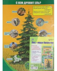 Комплект плакатов &quot;Лес - наше богатство&quot;. 4 плаката с методическим сопровождением. ФГОС