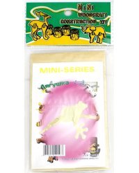 Сборная деревянная модель. Лягушка