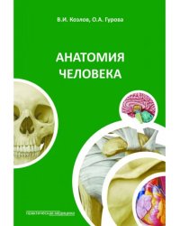Анатомия человека. Краткий курс