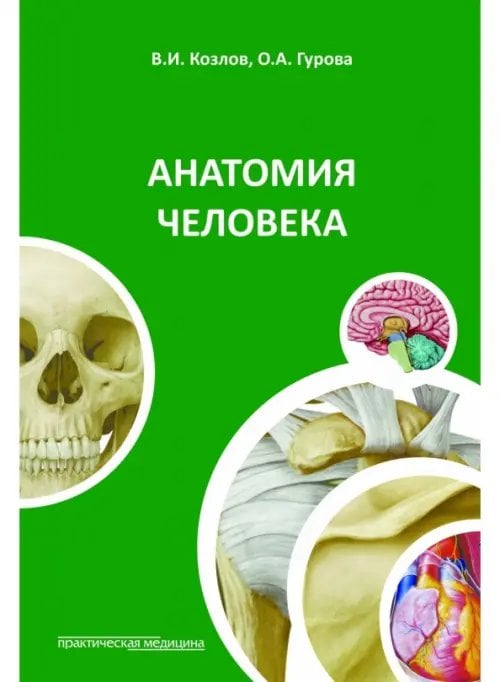 Обложка книги «Анатомия человека. Краткий курс» — Козлов Валентин Иванович, Гурова Ольга Александровна, ISBN 9785988113225