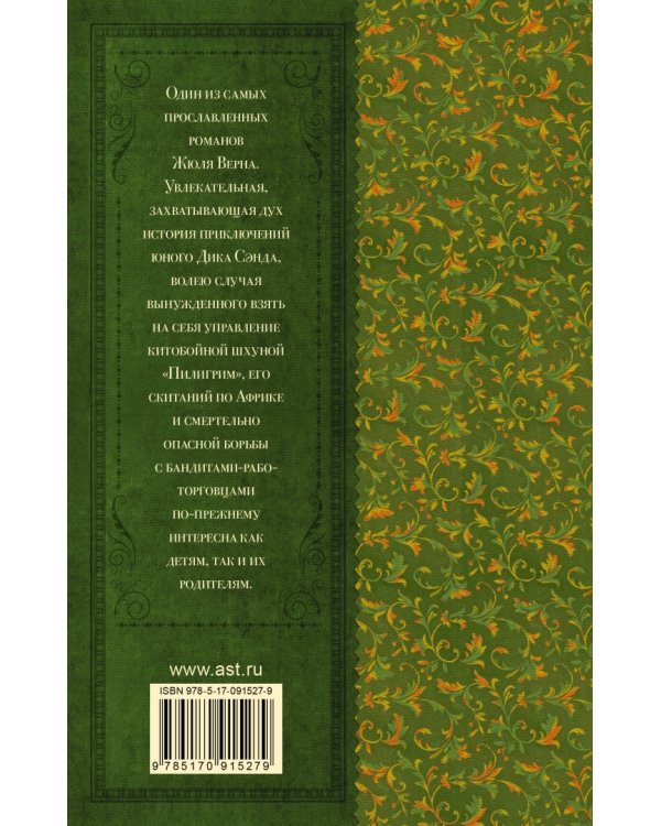 Пятнадцатилетний капитан