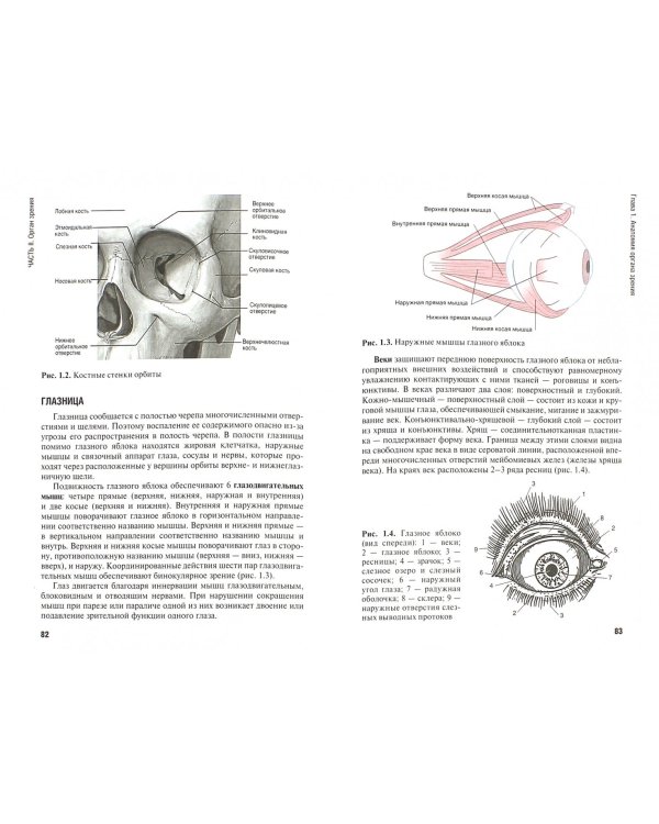 Сестринская помощь при заболеваниях уха, горла, носа, глаза и его придаточного аппарата. Уч. пособие