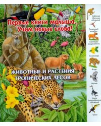 Животные и растения тропических лесов. Виммельбух