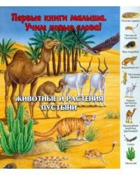 Животные и растения пустыни. Виммельбух