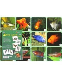 Живой уголок. Комплект из 4 плакатов с методическим сопровождением. ФГОС ДО