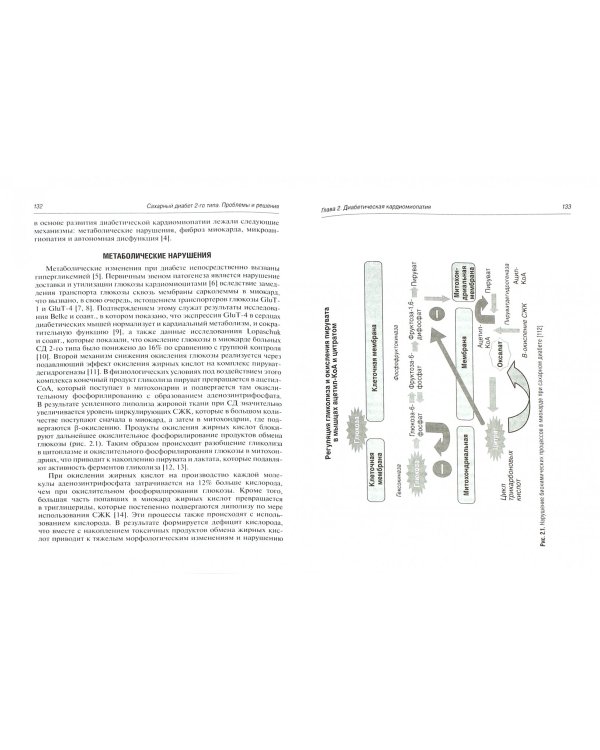 Сахарный диабет 2 типа. Проблемы и решения. Учебное пособие. Том 5