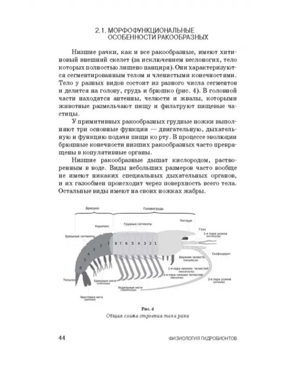 Дополнительное изображение книги «Физиология гидробионтов. Учебное пособие»