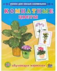 Комнатные цветы