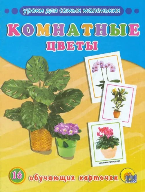 Комнатные цветы