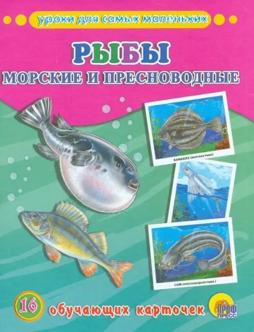 Обучающие карточки Рыбы морские и пресноводные