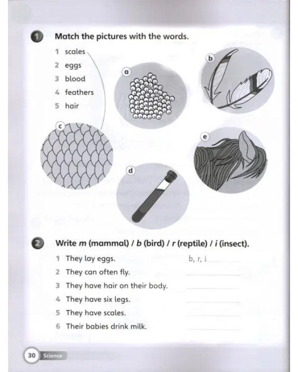 Super Minds. Level 2. Workbook with Online Resources