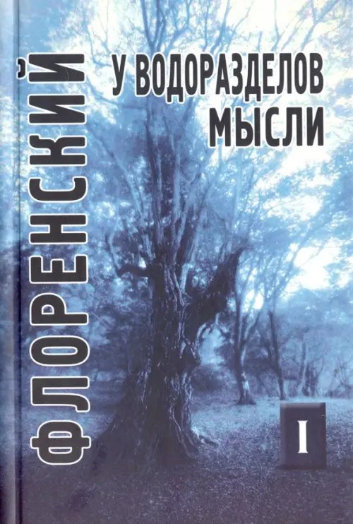У водоразделов мысли. Черты конкретной метафизики. Том 1