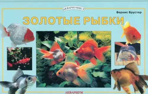 Аквариумист Золотые рыбки
