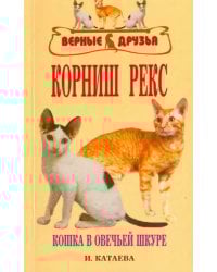 Корниш рекс. Кошка в овечьей шкуре