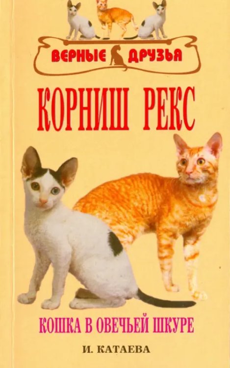 Корниш рекс. Кошка в овечьей шкуре