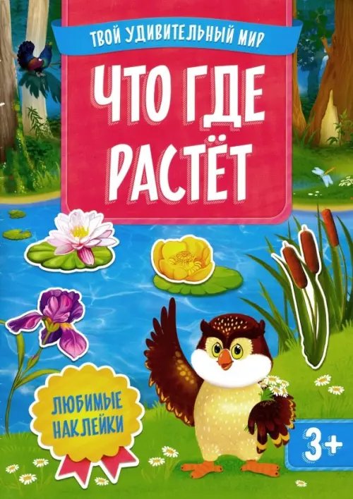Твой удивительный мир Что где растет. Многоразовые наклейки