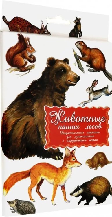 Дидактические карточки. Животные наших лесов