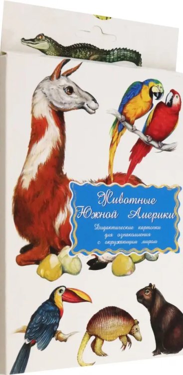 Дидактические карточки. Животные Южной Америки