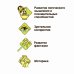 Японские опыты. Науки с Буки. Космический проектор