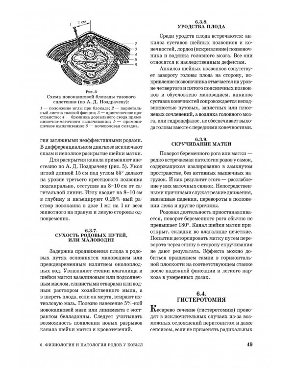 Дополнительное изображение книги «Лошади. Биологические основы. Использование. Пороки. Болезни»