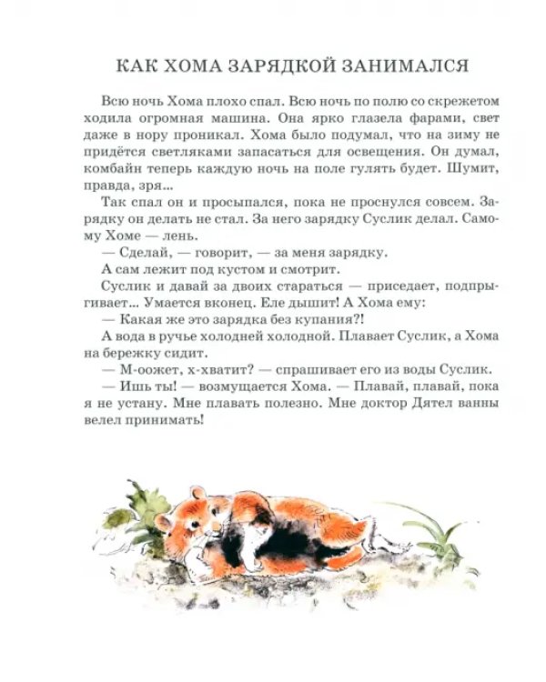 Приключения Хомы