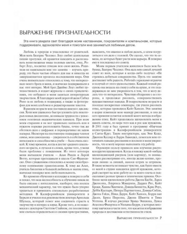 Как рисовать птиц