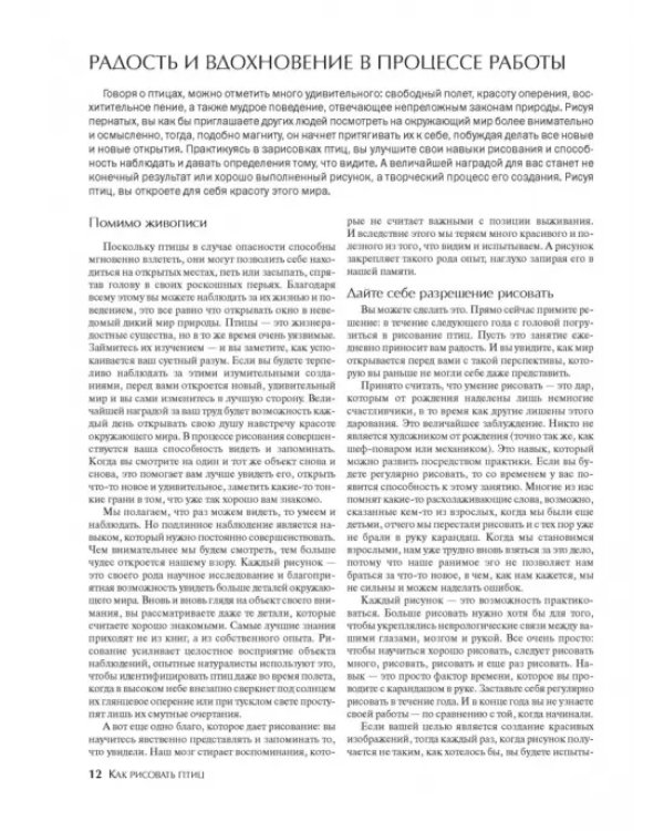Как рисовать птиц
